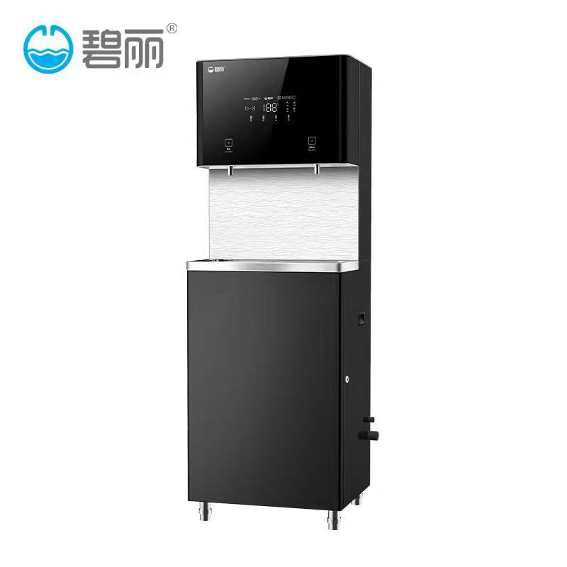 碧丽K20G【50-80人】